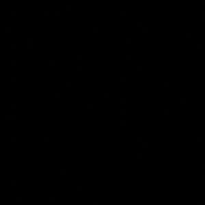 Meet your Posher, Ayaya